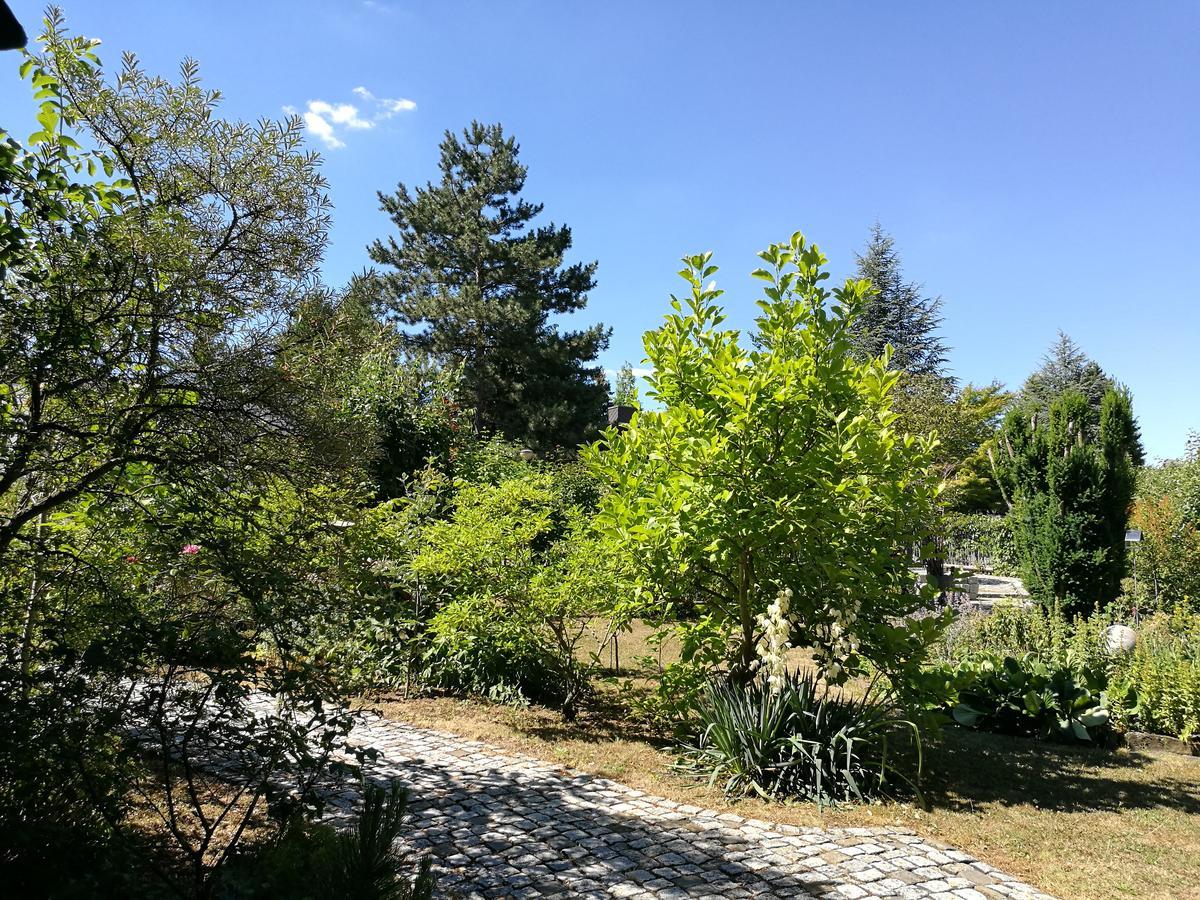 וויימר Apartment Haus Merlin Am Boeckelsberg מראה חיצוני תמונה